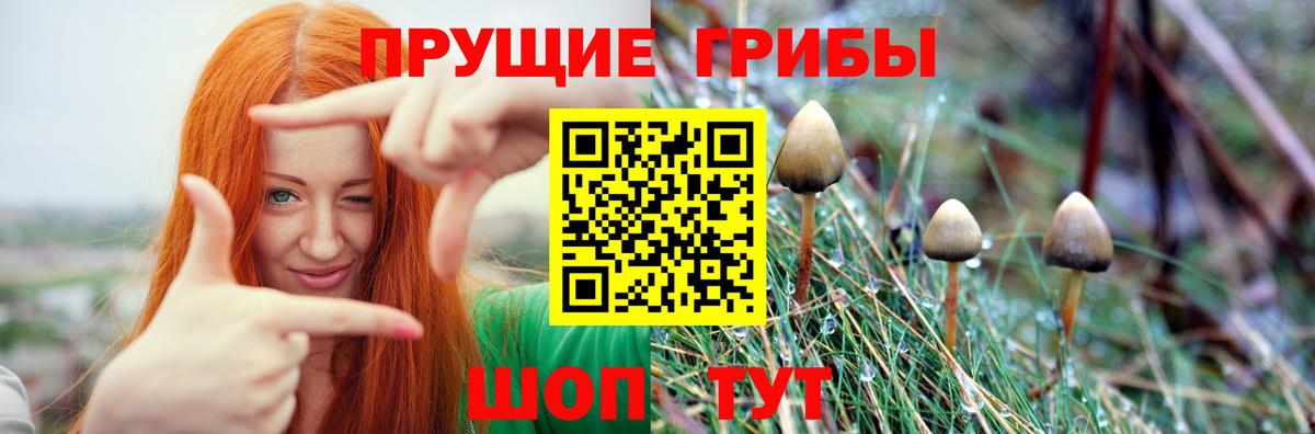 Елабуга  Псилоцибиновые грибы ЛСД  даркнет сайт  Вход с VPN 